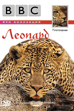 Постер к фильму BBC: Леопард (1999)