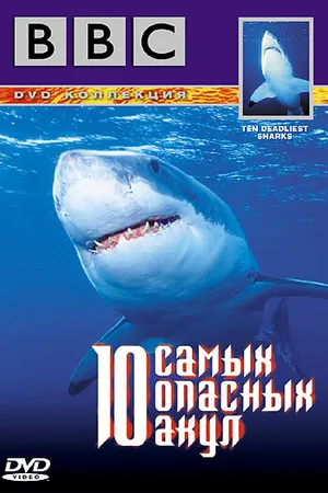 Постер к фильму BBC: 10 самых опасных акул (2001)