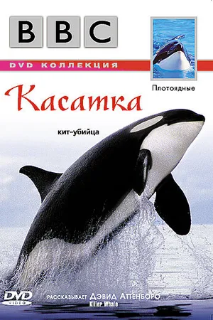 Постер к фильму BBC: Касатка (2003)