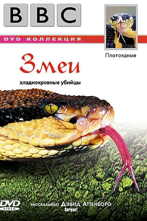 Постер к фильму BBC: Змеи (2003)