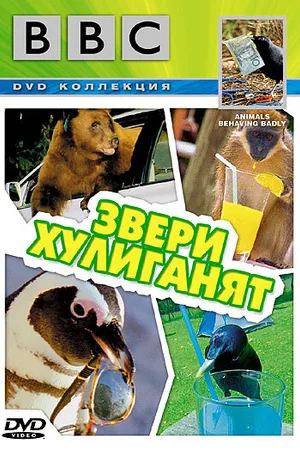 Постер к фильму BBC: Звери хулиганят (2004)
