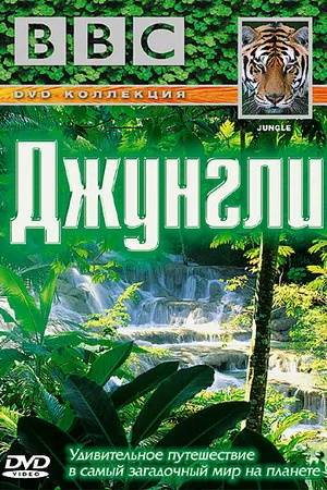 Постер к сериалу BBC: Джунгли (2003)