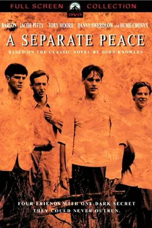 Постер к фильму Сепаратный мир (2004)