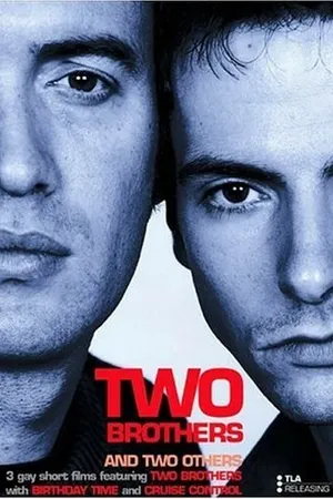 Постер к фильму Два брата (2001)