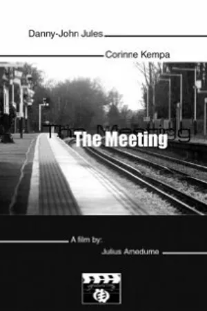 Постер к фильму The Meeting (2002)