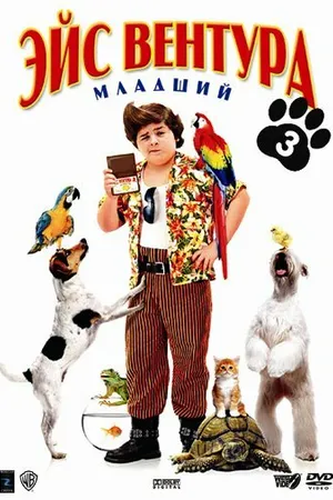 Постер к фильму Эйс Вентура младший (2009)