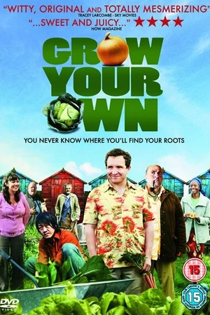 Постер к фильму Сделай себя сам (2007)