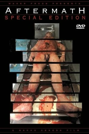 Постер к фильму После смерти (1994)