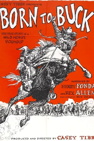 Постер к фильму Рождены чтобы сопротивляться (1966)