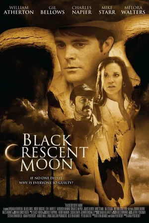 Постер к фильму Рождение черной луны (2008)