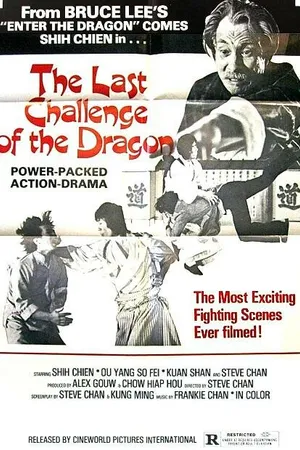 Постер к фильму Последний вызов дракона (1976)