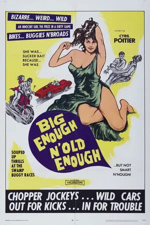 Постер к фильму Бунтари из ада (1968)