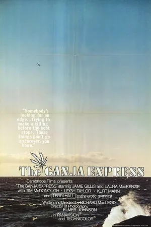 Постер к фильму Марихуанский экспресс (1978)