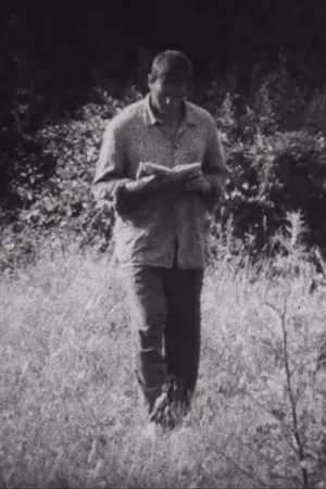 Постер к фильму Archaikus torzó (1971)