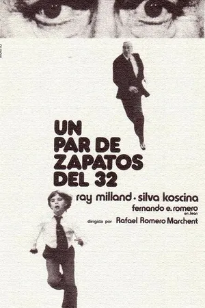 Постер к фильму Кто-то видел убийцу (1974)