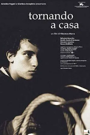 Постер к фильму Возвращаясь домой (2001)