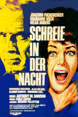Постер к фильму Крики в ночи (1969)