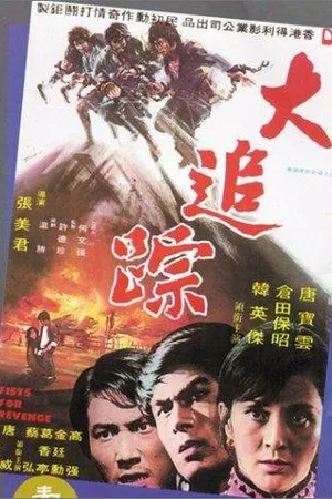 Постер к фильму Кулаки мести (1974)