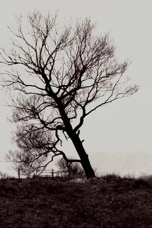 Постер к фильму Разрушенный берег (1992)