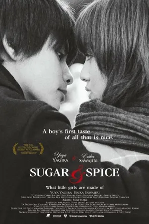 Постер к фильму Сахар и перец (2006)