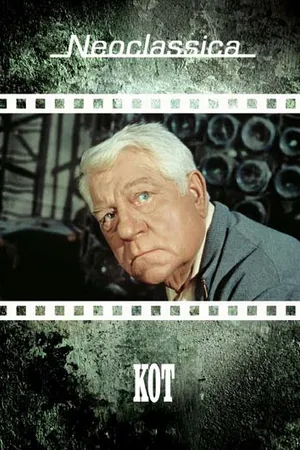 Постер к фильму Кот (1971)