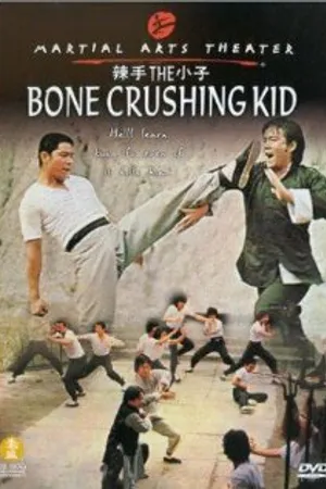Постер к фильму La shou xiao xi (1979)