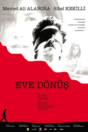Постер к фильму Возвращение домой (2006)