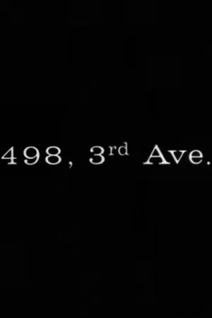 Постер к фильму 498 Third Avenue (1967)