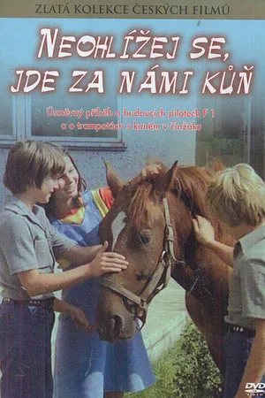 Постер к фильму Не оглядывайся, за нами лошадь! (1981)