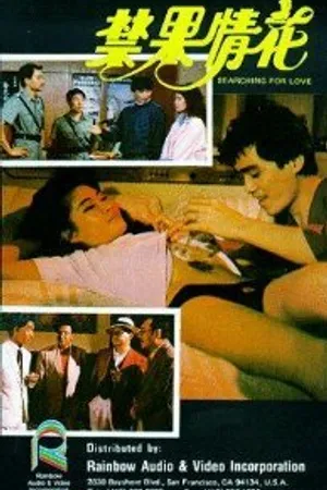 Постер к фильму В поисках любви (1986)