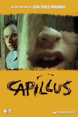 Постер к фильму Capillus (2006)