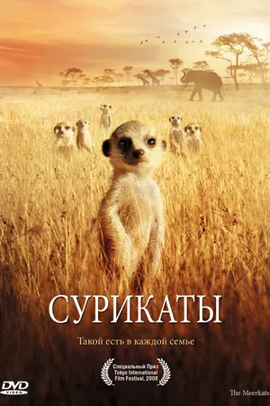 Постер к фильму Сурикаты (2007)