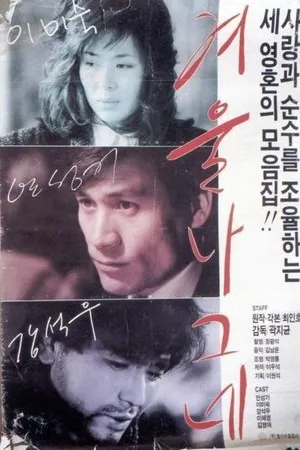 Постер к фильму Зимний странник (1986)
