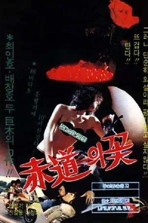Постер к фильму Цветок экватора (1983)