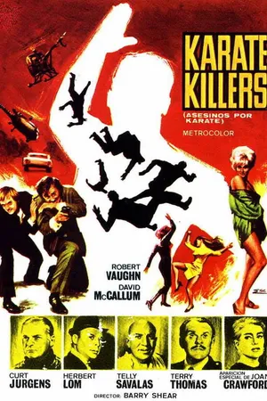 Постер к фильму Каратисты-убийцы (1967)