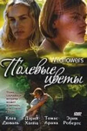 Постер к фильму Полевые цветы (1999)