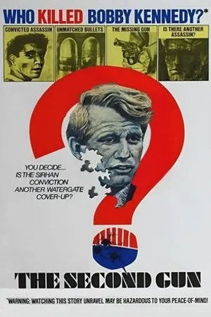 Постер к фильму The Second Gun (1973)