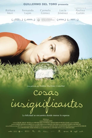 Постер к фильму Неважные вещи (2008)