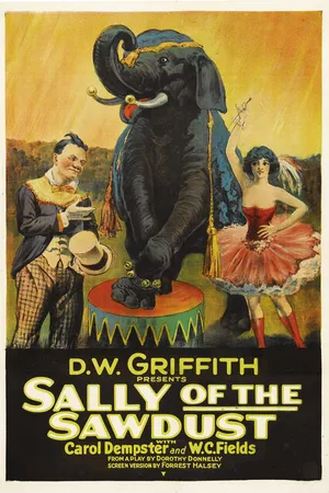 Постер к фильму Салли из опилок (1925)