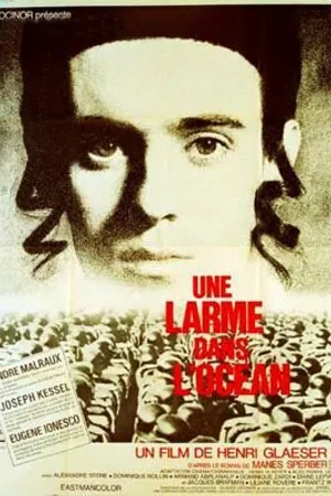 Постер к фильму Сирена в океане (1973)
