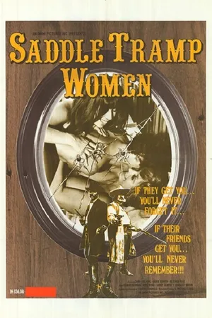 Постер к фильму Бродяжки в седле (1972)