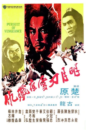 Постер к фильму Стремление к мести (1977)