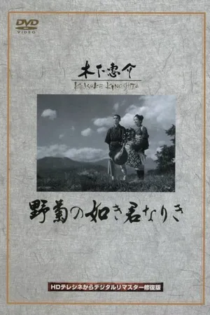Постер к фильму Ты была подобна дикой хризантеме (1955)