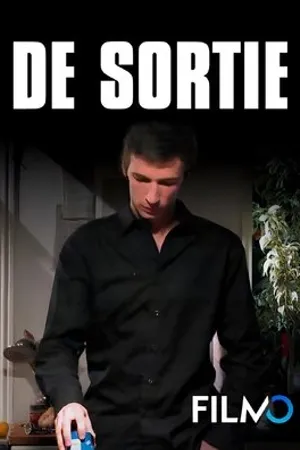 Постер к фильму De sortie (2005)