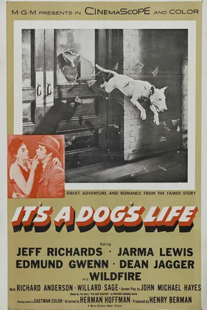 Постер к фильму It's a Dog's Life (1955)