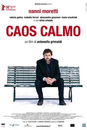 Постер к фильму Тихий хаос (2008)