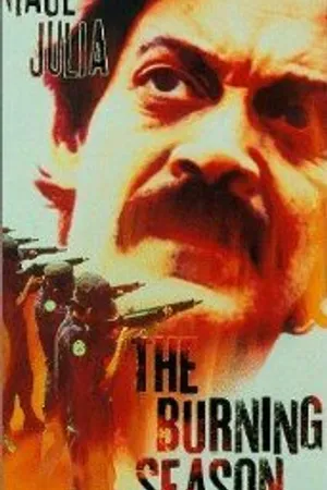 Постер к фильму Огненный сезон (1994)