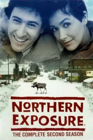 Постер к сериалу Северная сторона (1990 - 1995)