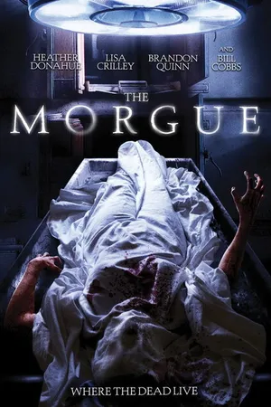 Постер к фильму Морг (2008)