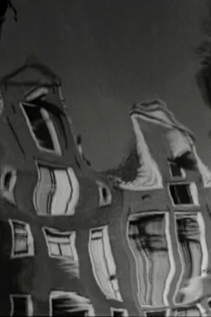 Постер к фильму Зеркало Голландии (1950)